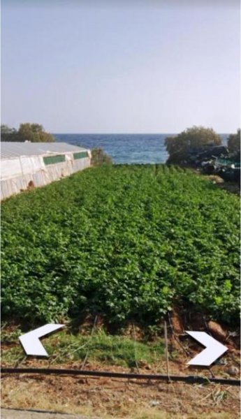 Koutsouras Südostkreta, Koutsouras: Baugrundstück direkt am Meer zu verkaufen Grundstück kaufen